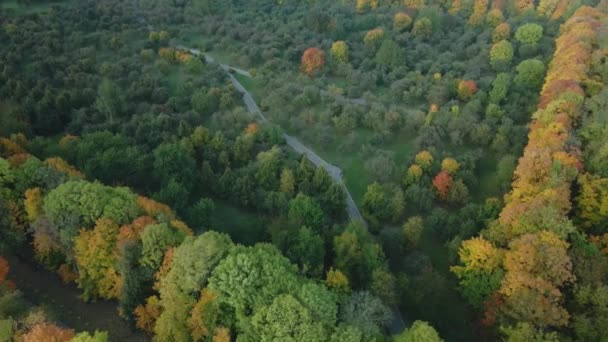 Lot Nad Jesiennym Parkiem Drzewa Żółtymi Liśćmi Jesieni Widoczne Fotografia — Wideo stockowe