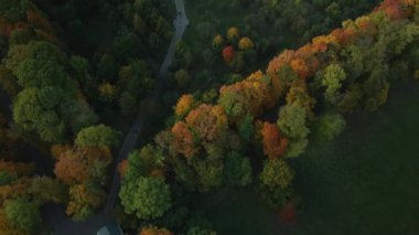 Sonbahar parkında uçuş. Sarı sonbahar yapraklı ağaçlar görülebilir. Hava fotoğrafçılığı.