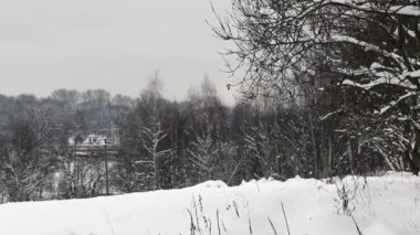 Kışın şehir parkı. Yerde kar yığınları, ağaçlarda kar yığınları var. Ağaçlardan kar yağıyor..
