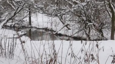 Nehir, kışın şehir parkında. Nehir kıyısında kar yağışı var. Ağaçların dallarında karlar var. Kamera nehre doğru hareket ediyor. Yakın çekim..