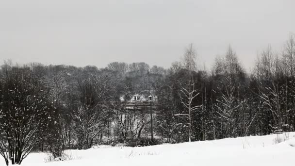 冬の都市公園 地面には雪のドリフト 木の上に雪のキャップがあります 木から雪が降っている — ストック動画