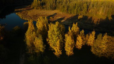 Park alanı. Nilüferlerle dolu dolambaçlı bir nehir. Sarı sonbahar yapraklı ağaçlar görülebilir. Hava fotoğrafçılığı.