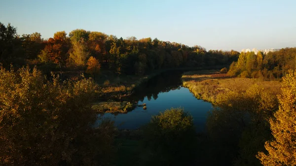 公園エリア 睡蓮のある曲がりくねった川 黄色の紅葉をした木が見える 空中写真 — ストック写真