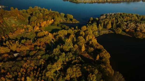 秋の公園を飛行します 大きな湖の海岸に公園 黄色の紅葉をした木が見える 空中写真 — ストック写真