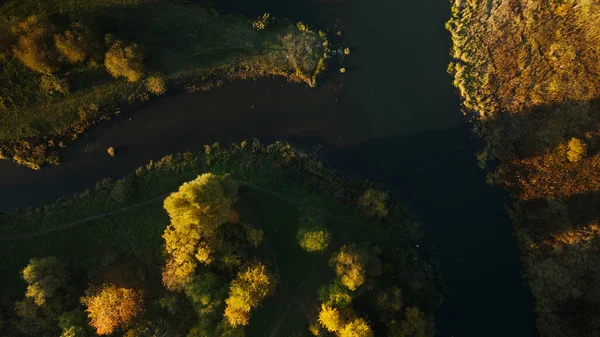 Парковая Зона Вихревая Река Водяными Лилиями Видны Деревья Жёлтыми Осенними — стоковое фото