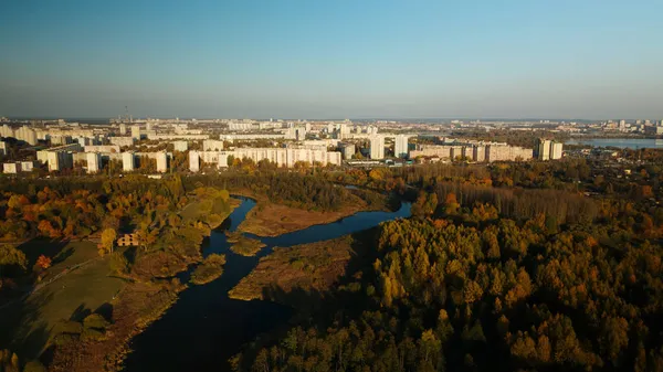 Flyg Över Höstparken Träd Med Gula Höstlöv Syns Vid Horisonten — Stockfoto