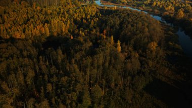Sonbahar parkında uçuş. Sarı sonbahar yapraklı ağaçlar görülebilir. Hava fotoğrafçılığı.