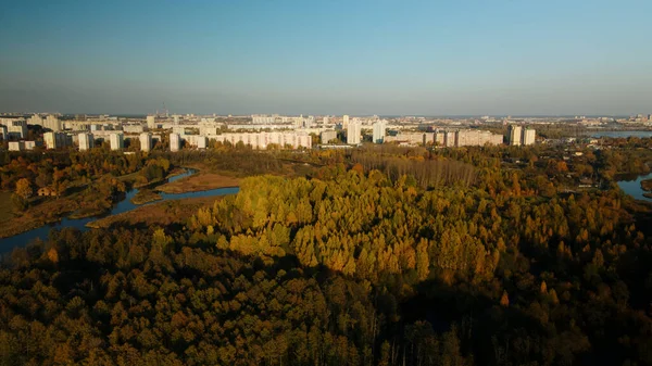 Vuelo Sobre Parque Otoño Los Árboles Con Hojas Amarillas Otoño —  Fotos de Stock