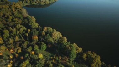 Sonbahar parkında uçuş. Sarı sonbahar yapraklı ağaçlar görülebilir. Büyük bir gölün kıyısına park et. Hava fotoğrafçılığı