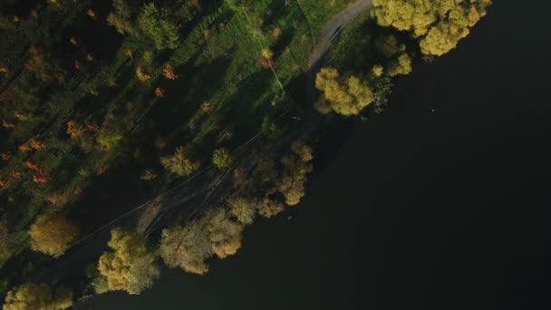 Volo Sopra Parco Autunnale Parcheggiare Sulla Riva Grande Lago Sono — Video Stock