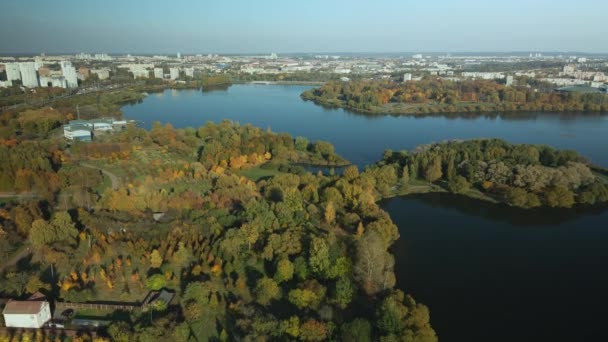 Lot Nad Jesiennym Parkiem Park Brzegu Dużego Jeziora Drzewa Żółtymi — Wideo stockowe
