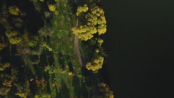 Sväng Flygning Över Höstpark Belägen Stranden Stor Sjö Gula Blad — Stockvideo