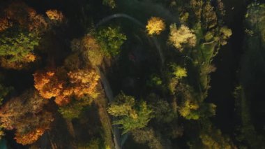 Sonbahar parkında uçuş. Sarı sonbahar yapraklı ağaçlar görülebilir. Hava fotoğrafçılığı.