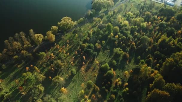 飞越秋天的公园 秋天黄叶的树是可见的 公园的湖面清晰可见 空中摄影 — 图库视频影像