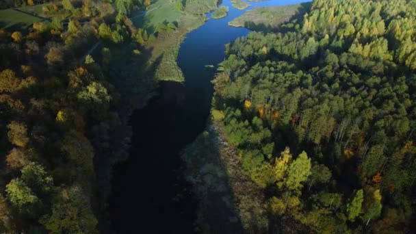 Área Parque Rio Sinuoso Árvores Com Folhas Outono Amarelas São — Vídeo de Stock