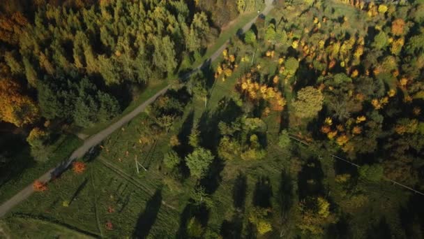 Полет Над Осенним Парком Видны Деревья Жёлтыми Осенними Листьями Аэрофотосъемка — стоковое видео