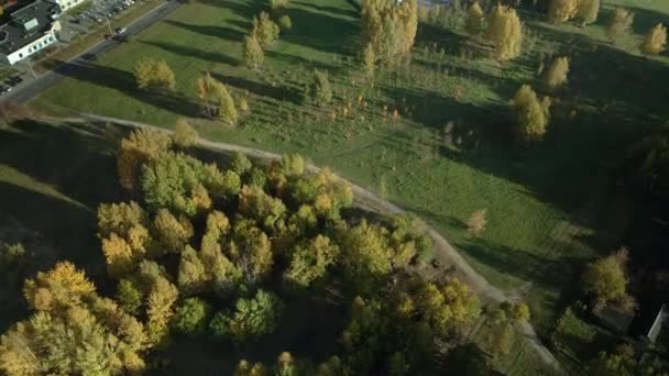 秋の公園を飛行します 黄色の紅葉をした木が見える 空中写真 — ストック動画