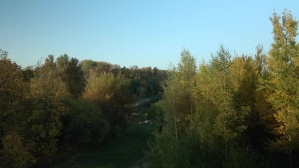 停车区一条河流过公园 秋天黄叶的树是可见的 空中摄影 — 图库视频影像
