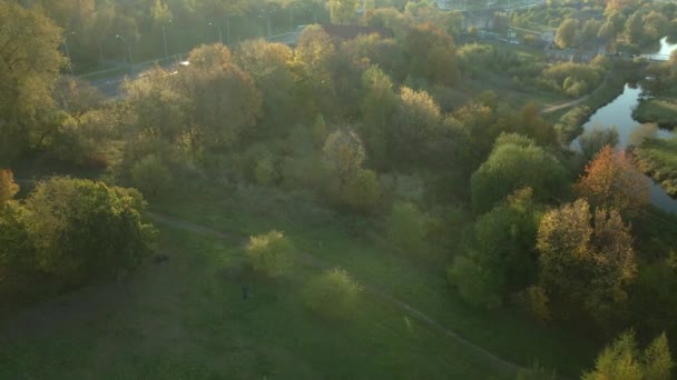 Área Del Parque Río Fluye Por Parque Los Árboles Con — Vídeo de stock