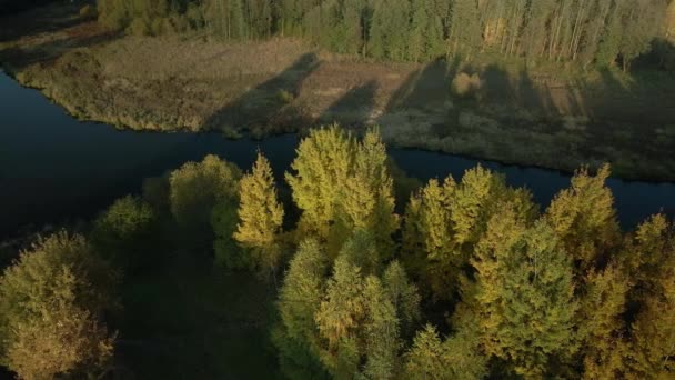 Área Del Parque Río Fluye Por Parque Los Árboles Con — Vídeos de Stock