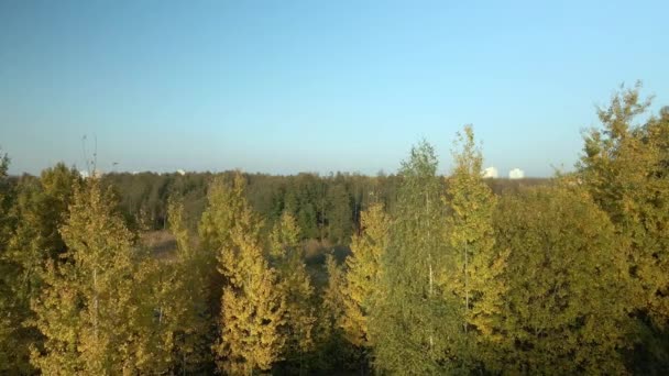 Parkeringen Slingrande Flod Träd Med Gula Höstlöv Syns Flygfotografering — Stockvideo