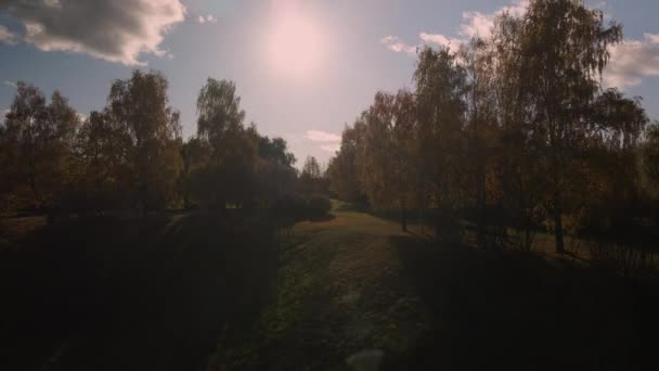 飞越秋天的公园 秋天黄叶的树是可见的 在阳光下被射中 空中摄影 — 图库视频影像