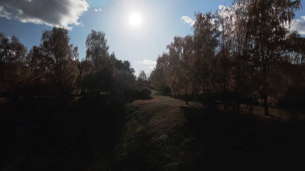 Полет Над Осенним Парком Видны Деревья Жёлтыми Осенними Листьями Выстрел — стоковое фото