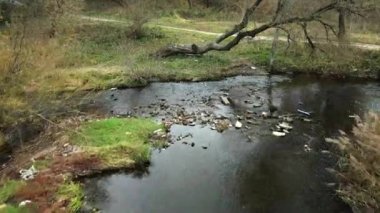 Park alanı. Dolambaçlı bir nehir. Sarı sonbahar yapraklı ağaçlar görülebilir. Hava fotoğrafçılığı.