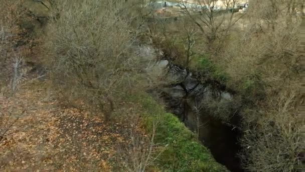 Park Alanı Dolambaçlı Bir Nehir Sarı Sonbahar Yapraklı Ağaçlar Görülebilir — Stok video