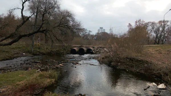 Betongrör Strömmar Vatten Rinner Genom Betongrör Förorenad Vattensamling Parken Skjuter — Stockfoto