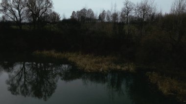 Şehir parkının içindeki nehir. Sonbaharın sonu, bulutlu. Yapraksız ağaçlar ve nehir kıyısında kurumuş sazlıklar. Hava fotoğrafçılığı.