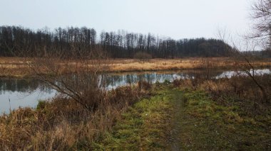 Şehir parkının içindeki nehir. Sonbaharın sonu, bulutlu. Yapraksız ağaçlar ve nehir kıyısında kurumuş sazlıklar. Hava fotoğrafçılığı.