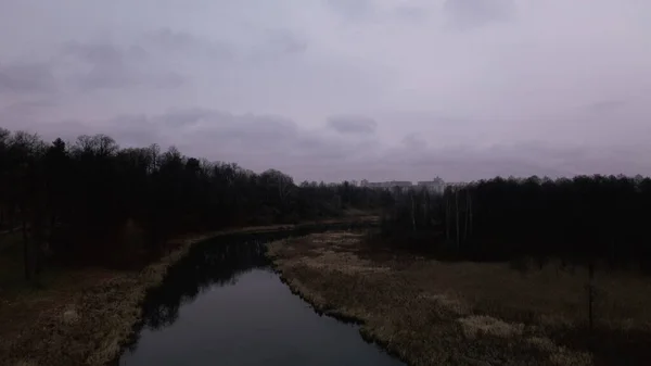 Der Fluss Stadtpark Spätherbst Bewölkt Bäume Ohne Blätter Und Getrocknetes — Stockfoto