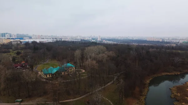 城市公园中的那条河 河边没有叶子和干枯的芦苇的树 这个城市在地平线上清晰可见 空中摄影 — 图库照片