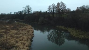 Şehir parkının içindeki nehir. Sonbaharın sonu, bulutlu. Yapraksız ağaçlar ve nehir kıyısında kurumuş sazlıklar. Hava fotoğrafçılığı.