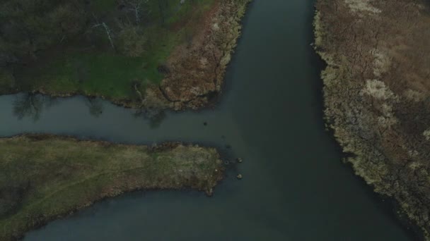 Річка Серед Міського Парку Пізня Осінь Хмарно Сушений Очерет Уздовж — стокове відео