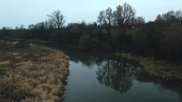 城市公园中的那条河 河边没有叶子和干枯的芦苇的树 空中摄影 — 图库视频影像