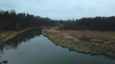 Şehir parkının içindeki nehir. Sonbaharın sonu, bulutlu. Yapraksız ağaçlar ve nehir kıyısında kurumuş sazlıklar. Hava fotoğrafçılığı.