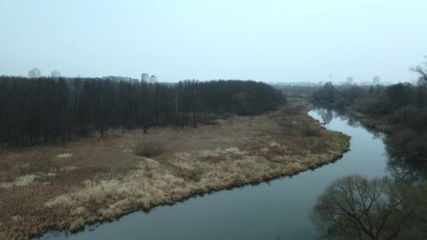 Der Fluss Stadtpark Spätherbst Bewölkt Bäume Ohne Blätter Und Getrocknetes — Stockvideo