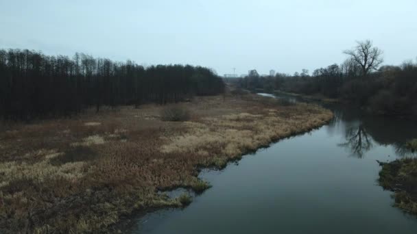 Der Fluss Stadtpark Spätherbst Bewölkt Bäume Ohne Blätter Und Getrocknetes — Stockvideo