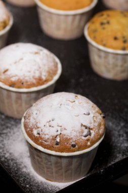 Çikolatalı ve kuru üzümlü taze pişmiş kek. Fırın tepsisine yayılmış. Bazılarına pudra şekeri serpilmiş. Yakın çekim..