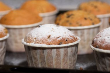 Çikolatalı ve kuru üzümlü taze pişmiş kek. Fırın tepsisine yayılmış. Bazılarına pudra şekeri serpilmiş. Yakın çekim..