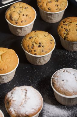 Çikolatalı ve kuru üzümlü taze pişmiş kek. Fırın tepsisine yayılmış. Bazılarına pudra şekeri serpilmiş. Yakın çekim..