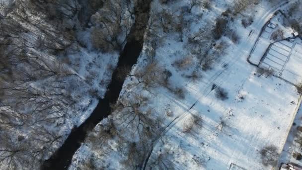 Vol Dans Parc Hiver Les Arbres Rivière Sont Visibles Photographie — Video