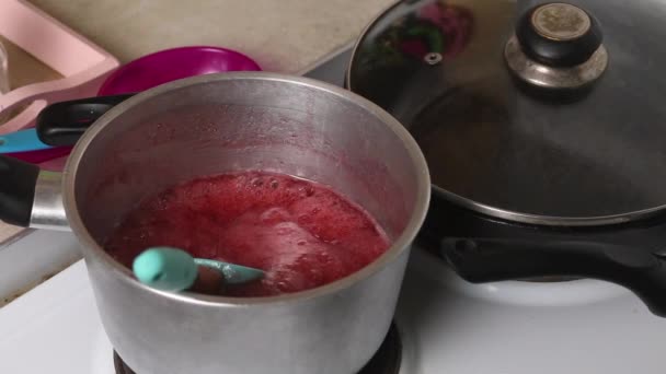 Xarope Ágar Frutas Está Fervendo Fogão Massa Marshmallow Cozinha Para — Vídeo de Stock