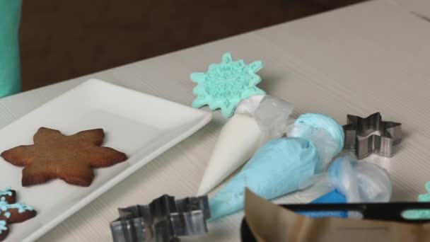 Woman Lays Out Pastry Bags Icing Decorating Gingerbread Close — Video Stock