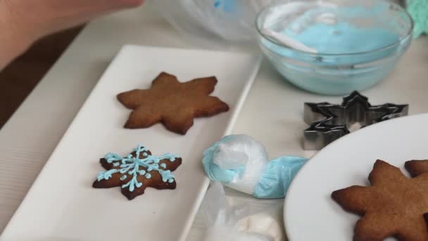 Bolsas Pastelería Con Esmalte Para Decorar Pan Jengibre Primer Plano — Vídeo de stock