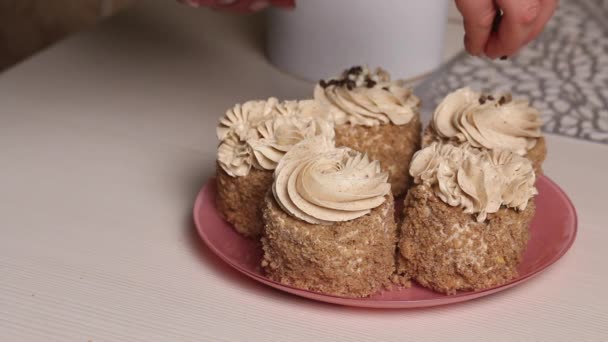 Woman Makes Sponge Cake Butter Cream Biscuit Crumbs Decorate Cream — Vídeo de Stock