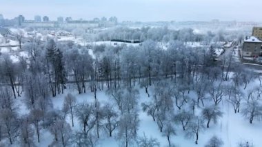 Kış şehri bahçesi. Karda ağaçlar. Karla kaplı bir parkın üzerinde uçuyor. Hava fotoğrafçılığı.