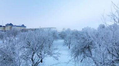 Kış şehri bahçesi. Karda ağaçlar. Karla kaplı bir parkın üzerinde uçuyor. Hava fotoğrafçılığı.